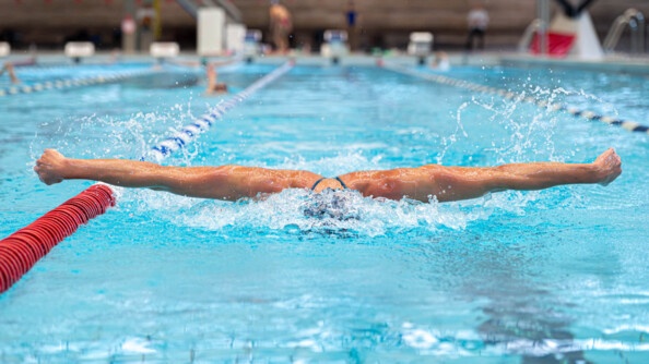 On aperçoit les deux bras d'une nageuse émergent de l'eau d'un bassin olympique. Sa tête est totalement immergée dans l'eau.