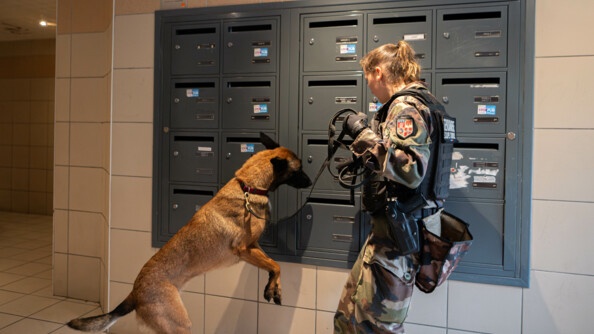 Une jeune jeune militaire, maître de chien, guide son malinois, dressé en direction des boîtes aux lettres, dans le hall d'un immauble d'habitation.